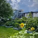 Alice Fitz community garden